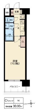 C1タイプ