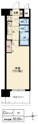 C2タイプ