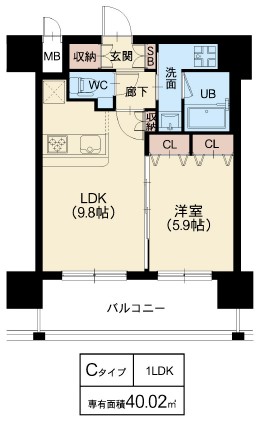 Cタイプ