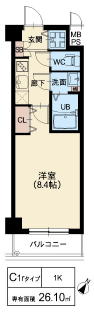 C1rタイプ