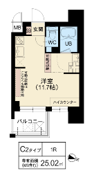 C2タイプ