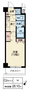 C2rタイプ