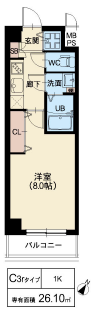 C3rタイプ