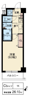 C3タイプ