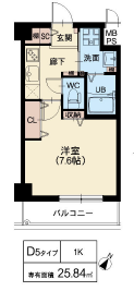 D5タイプ