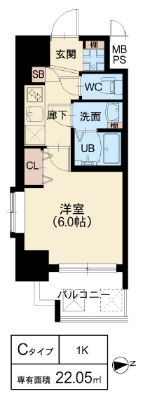 Cタイプ