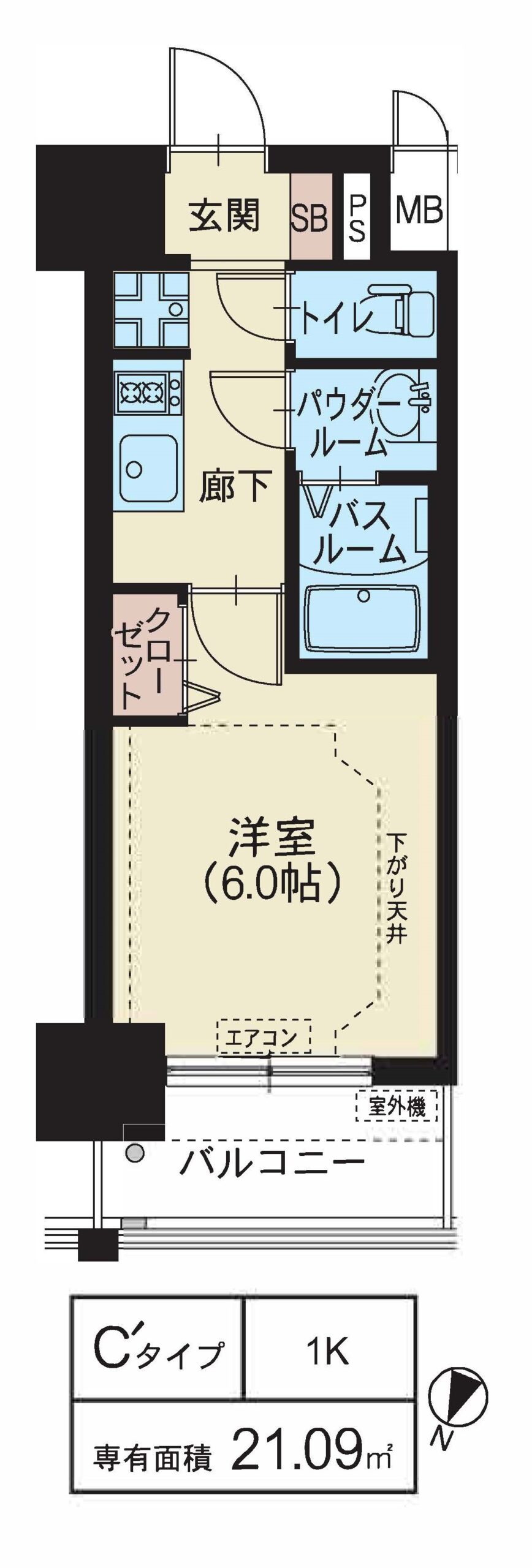 C'タイプ