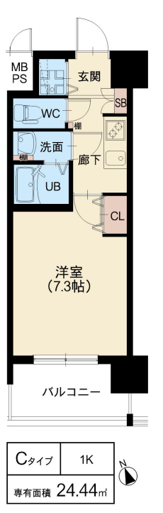 Cタイプ